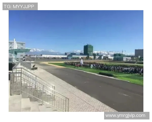 乒乓球场上的追梦旅程:陈静的深度对话与人生启示